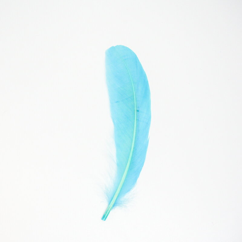 グース・ホロ5本入り［アクアブルー］フェザーパーツ 羽根 羽毛 材料 素材 手芸 アクセサリー 花材 フラワーアレンジメント ハロウィン 仮装 ダンス 衣装 コスプレ