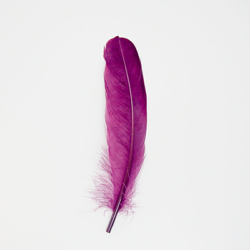 グース・ホロ5本入り［グレープ］フェザーパーツ 羽根 羽毛 材料 素材 手芸 アクセサリー 花材 フラワーアレンジメント ハロウィン 仮装 ダンス 衣装 コスプレ