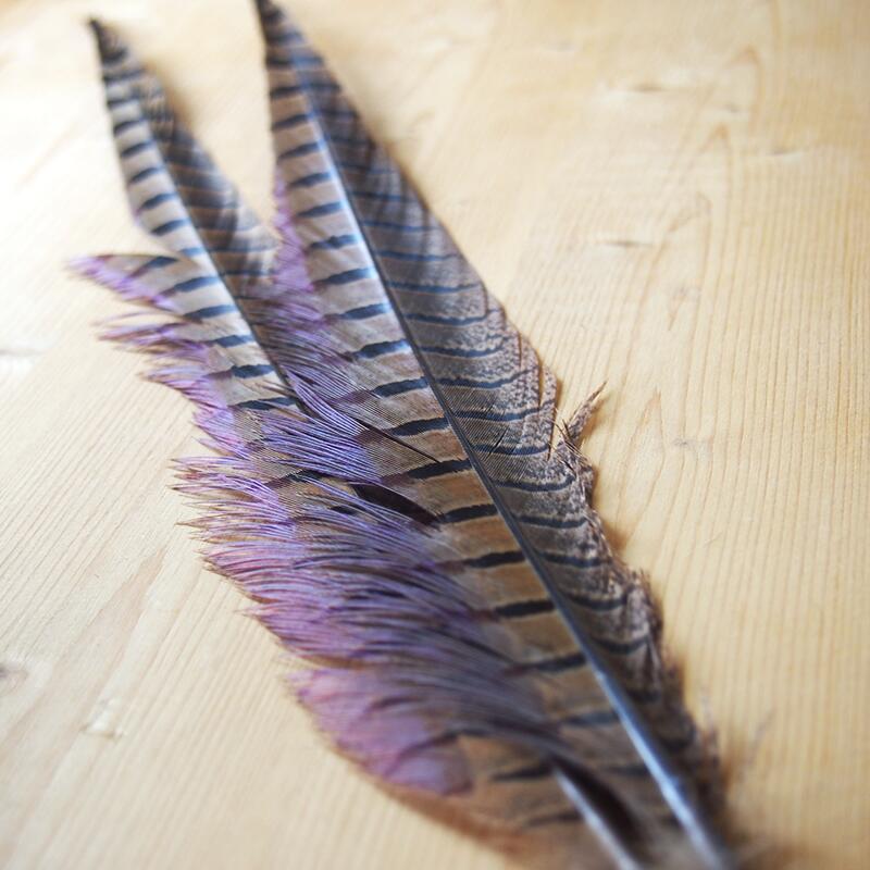 猫じゃらし フェザントサイドテール　1対　2本入りフェザーパーツ 羽根 羽毛 材料 素材 手芸 アクセサ..