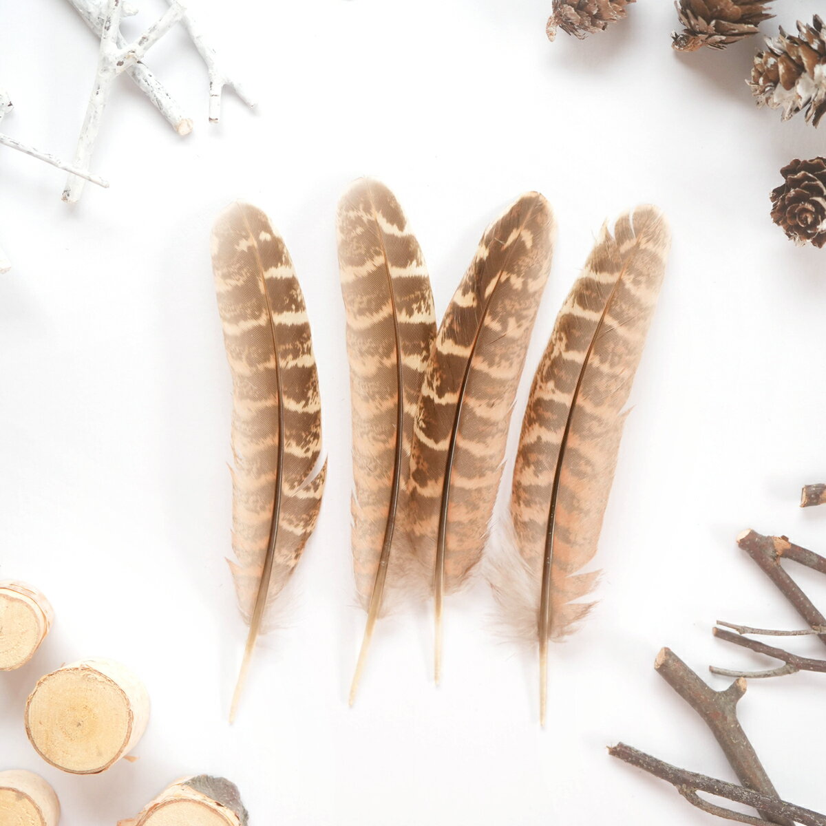 ヘンフェザント・クイル3対（6本入り）フェザーパーツ 羽根 羽毛 材料 素材 手芸 アクセサリー 花材 フラワーアレンジメント ハロウィン 仮装 ダンス 衣装 コスプレ