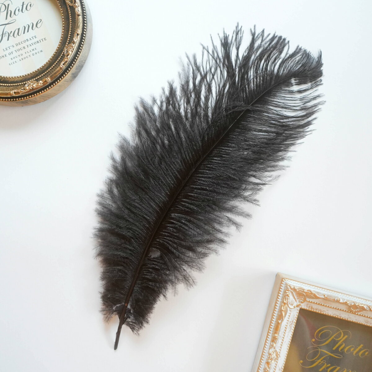 オーストリッチ1本入り［ブラック］フェザーパーツ 羽根 羽毛 材料 素材 手芸 アクセサリー 花材 フラワーアレンジメント ハロウィン 仮装 ダンス 衣装 コスプレ