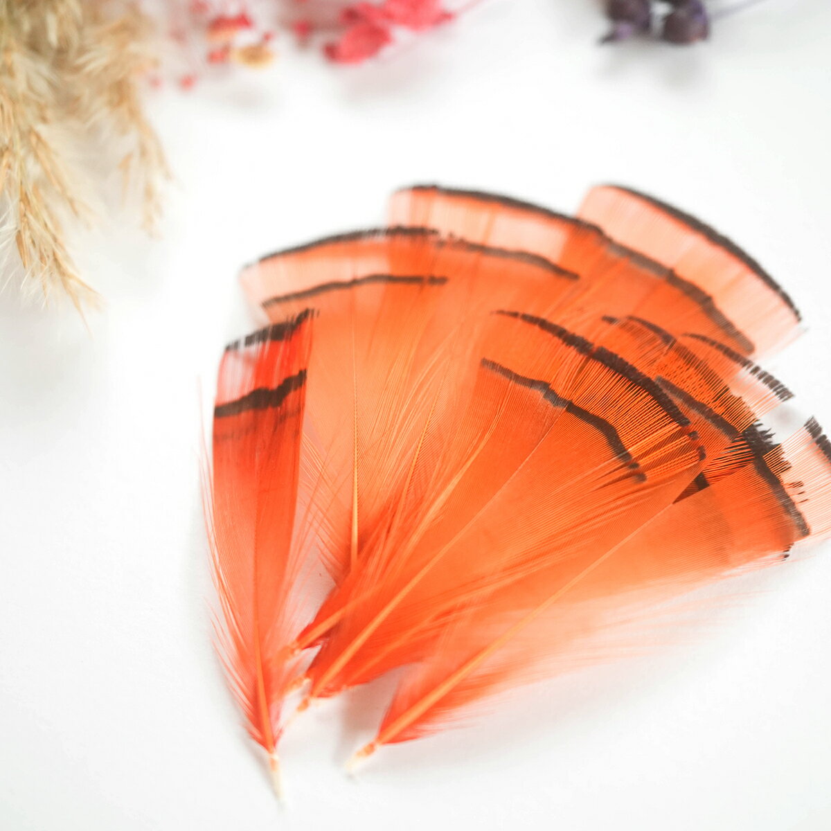 金ケイ・フェザー10本入り［オレンジ］フェザーパーツ 羽根 羽毛 材料 素材 手芸 アクセサリー 花材 フラワーアレンジメント ハロウィン 仮装 ダンス 衣装 コスプレ