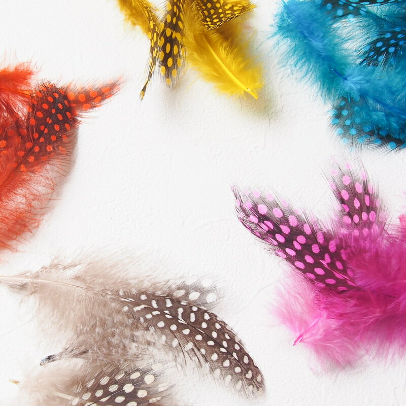羽 フェザー ホロホロ鳥 20本フェザーパーツ 羽根 羽毛 材料 素材 手芸 アクセサリー 花材 フラワーアレンジメント ハロウィン ドリームキャッチャー 仮装 ダンス 衣装 コスプレ