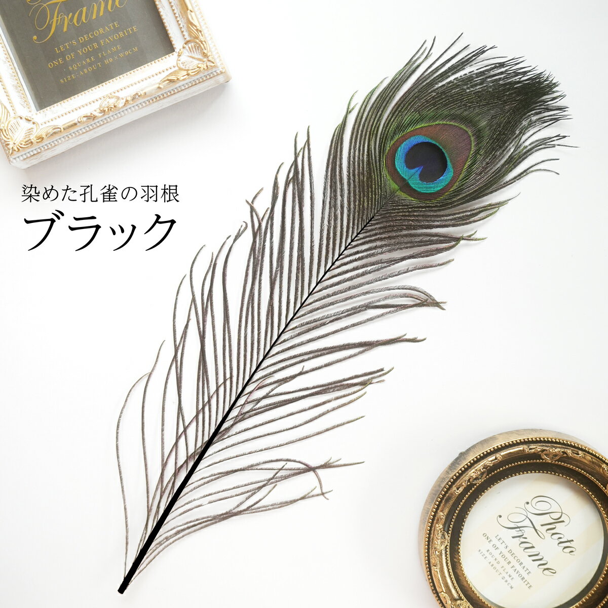 ピーコック・アイLサイズ4本入り［ブラック］フェザーパーツ 羽根 羽毛 材料 素材 手芸 アクセサリー ..