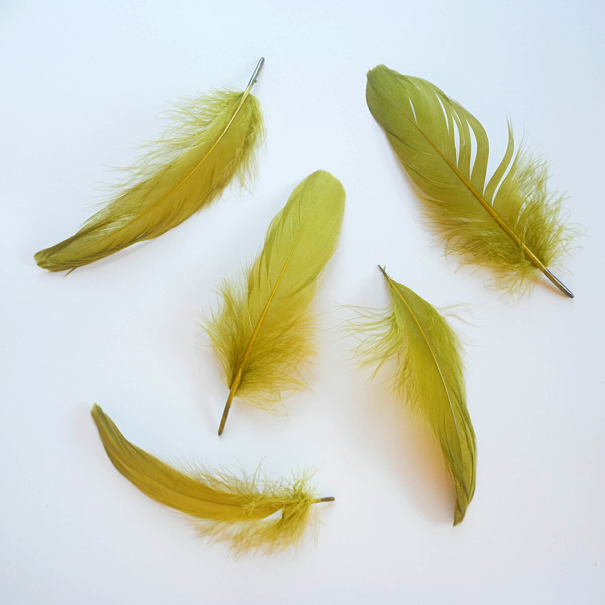 ナゴリヤ5本入り［オリーブ］フェザーパーツ 羽根 羽毛 材料 素材 手芸 アクセサリー 花材 フラワーアレンジメント ハロウィン 仮装 ダンス 衣装 コスプレ