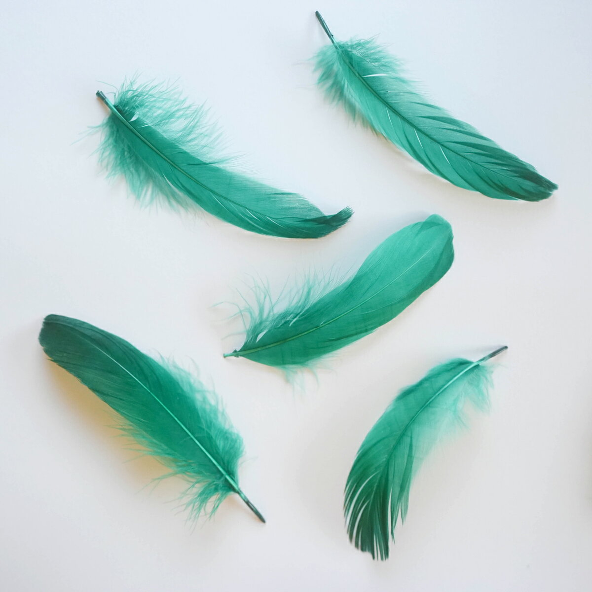 ナゴリヤ5本入り［グリーン］フェザーパーツ 羽根 羽毛 材料 素材 手芸 アクセサリー 花材 フラワーアレンジメント ハロウィン 仮装 ダンス 衣装 コスプレ