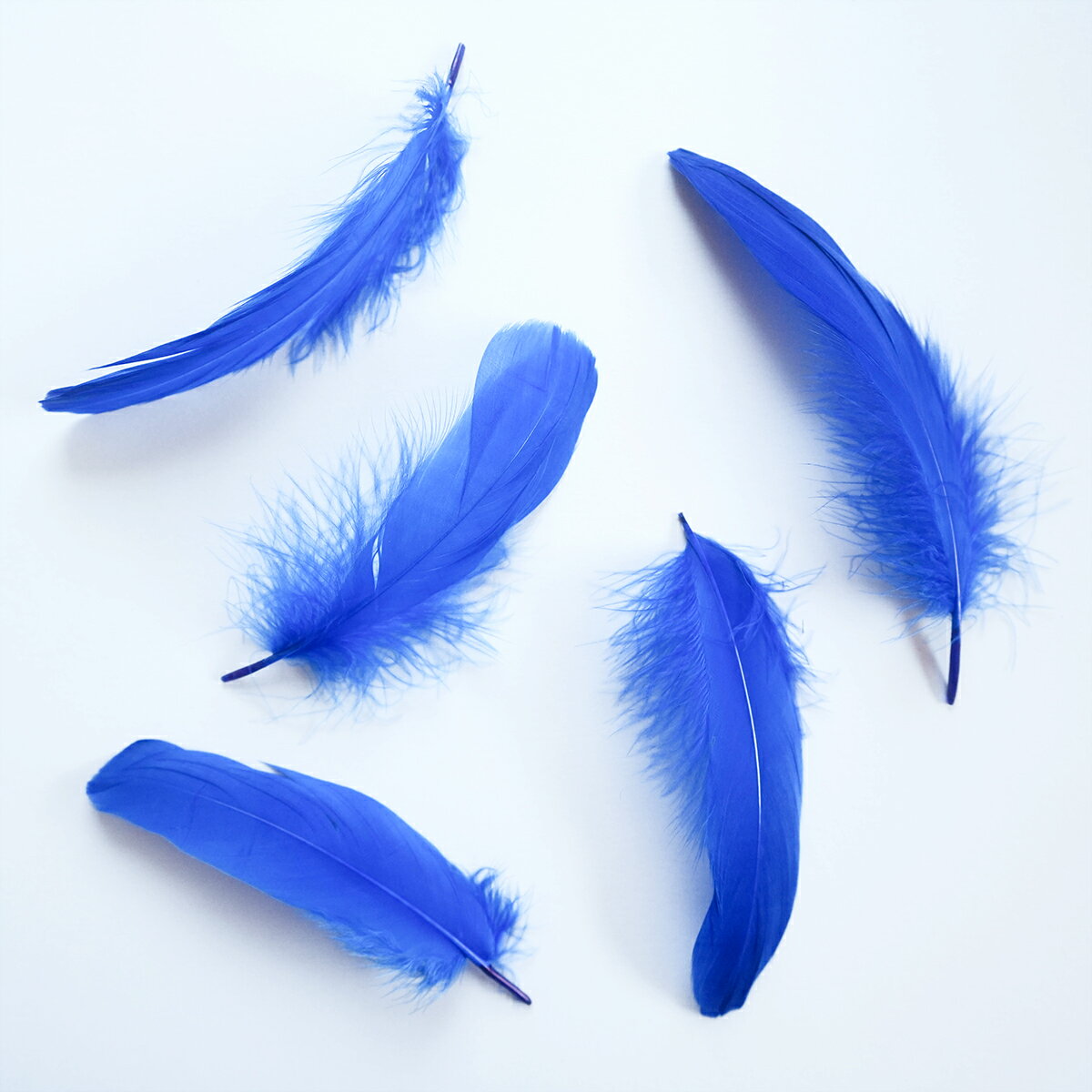 ナゴリヤ5本入り［ブルー］フェザーパーツ 羽根 羽毛 材料 素材 手芸 アクセサリー 花材 フラワーアレンジメント ハロウィン 仮装 ダンス 衣装 コスプレ