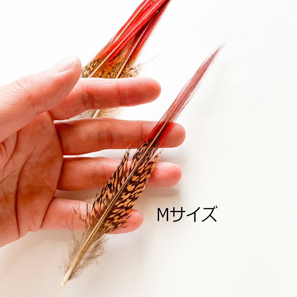 金ケイの羽根 フェザーパーツ 羽根 羽毛 材料 素材 手芸 アクセサリー 花材 フラワーアレンジメント ハロウィン 仮装 ダンス 衣装 コスプレ haneya-10001856 HANEYA Design -ハネヤデザイン- サンプル画像3
