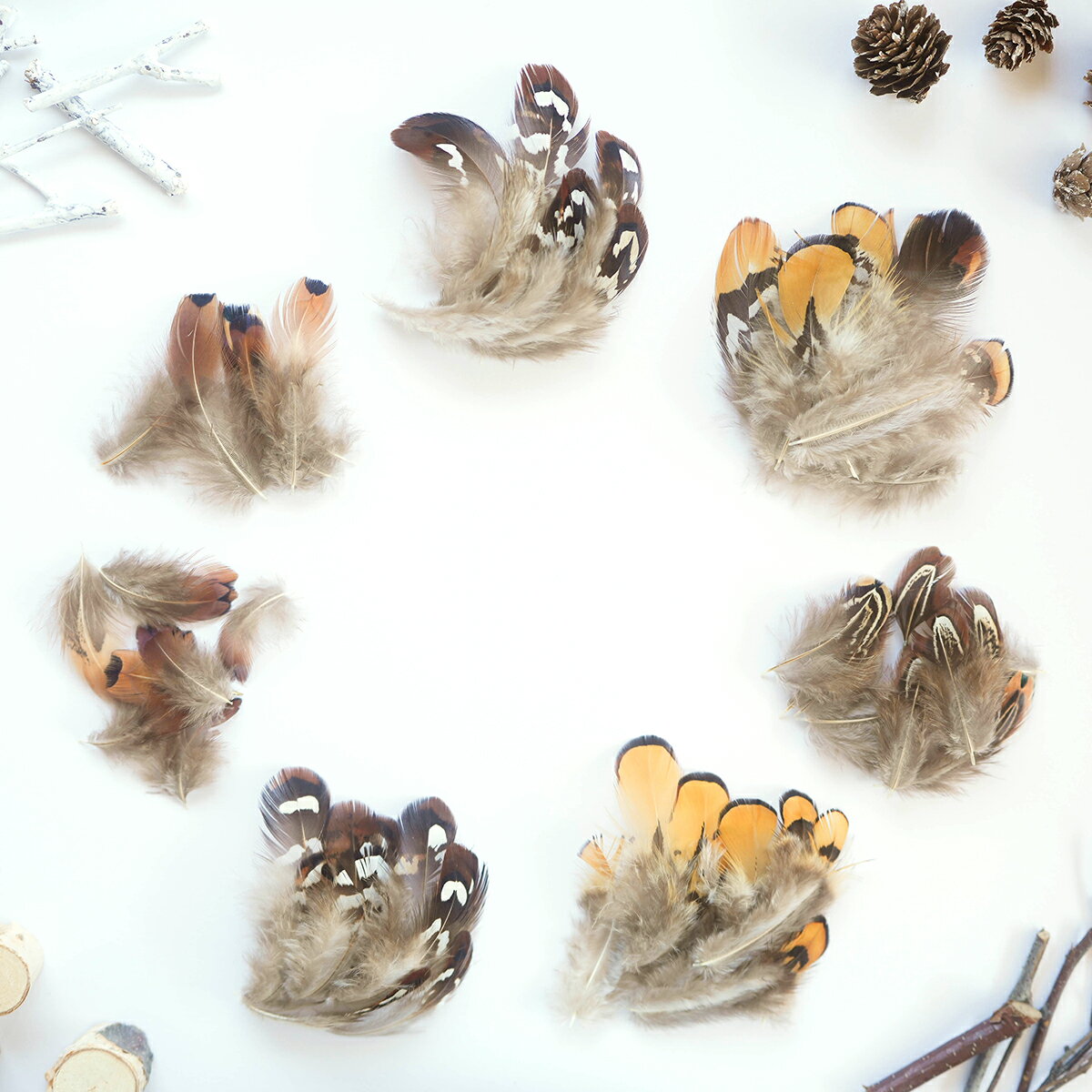 羽根 天然フェザーパーツ コウライキジ コック黄 コック茶 キジアーモンド 羽根 羽毛 材料 素材 手芸 アクセサリー 花材 フラワーアレンジメント ハロウィン 仮装 ダンス 衣装 コスプレ