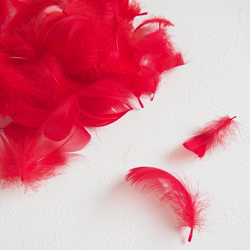コキール1g入り［レッド］フェザーパーツ 羽根 羽毛 材料 素材 手芸 アクセサリー 花材 フラワーアレンジメント ハロウィン 仮装 ダンス 衣装 コスプレ