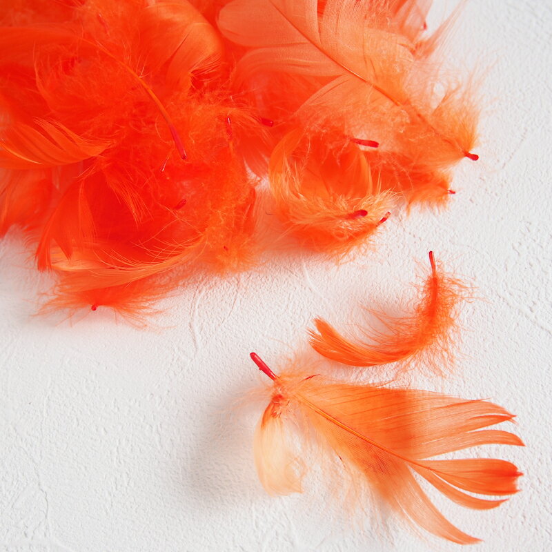 コキール1g入り［オレンジ］フェザーパーツ 羽根 羽毛 材料 素材 手芸 アクセサリー 花材 フラワーアレンジメント ハロウィン 仮装 ダンス 衣装 コスプレ