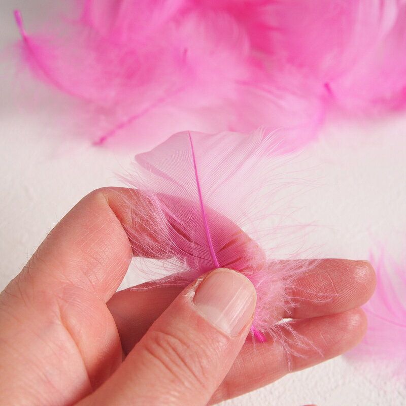 コキール1g入り［ホットピンク］フェザーパーツ 羽根 羽毛 材料 素材 手芸 アクセサリー 花材 フラワーアレンジメント ハロウィン 仮装 ダンス 衣装 コスプレ haneya-10003068 HANEYA Design -ハネヤデザイン- サンプル画像2