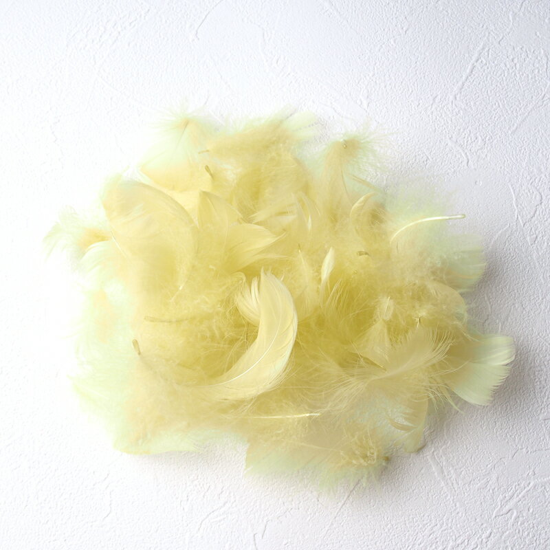 コキール1g入り［ピスタチオ］フェザーパーツ 羽根 羽毛 材料 素材 手芸 アクセサリー 花材 フラワーアレンジメント ハロウィン 仮装 ダンス 衣装 コスプレ
