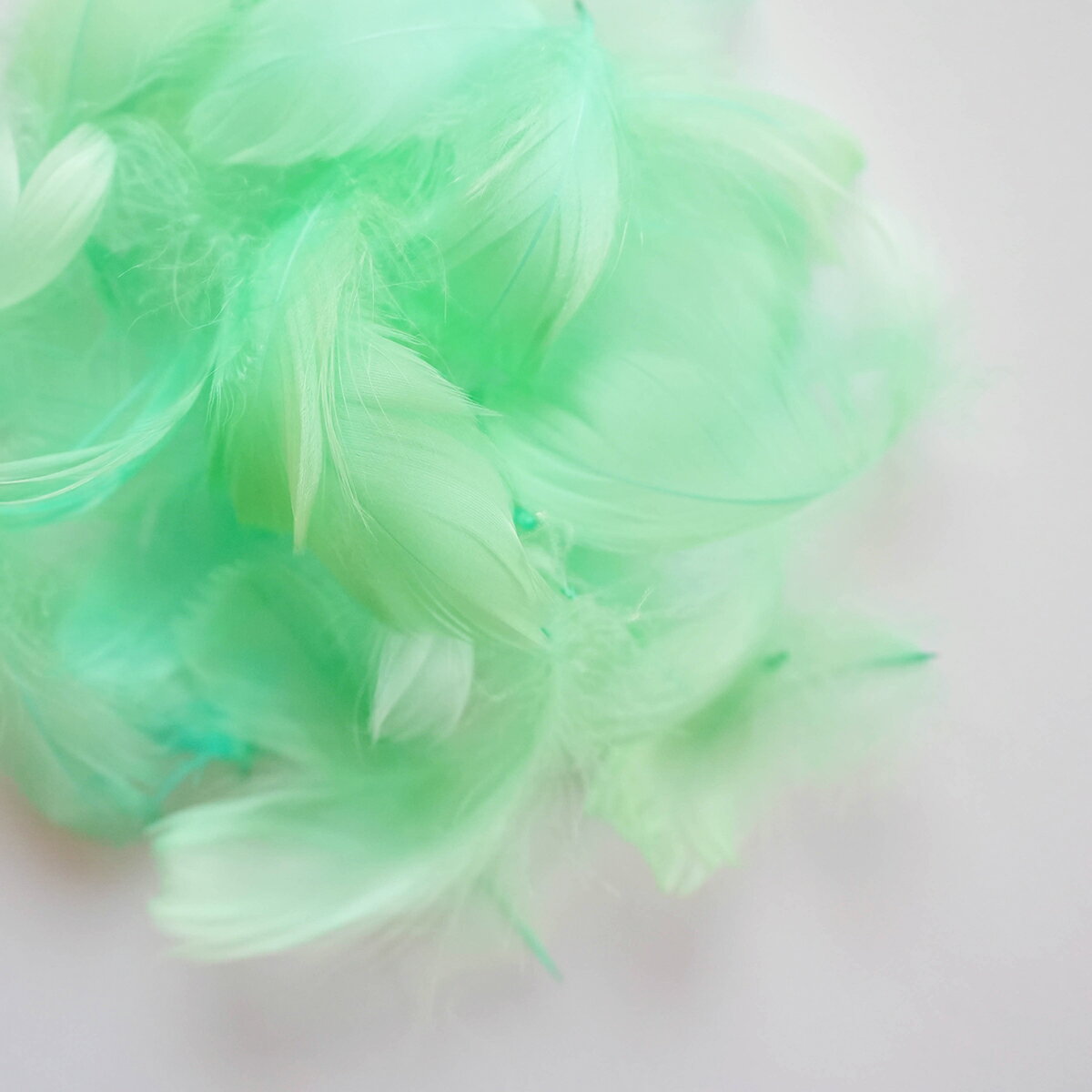 コキール1g入り［ミントグリーン］フェザーパーツ 羽根 羽毛 材料 素材 手芸 アクセサリー 花材 フラワーアレンジメント ハロウィン 仮装 ダンス 衣装 コスプレ