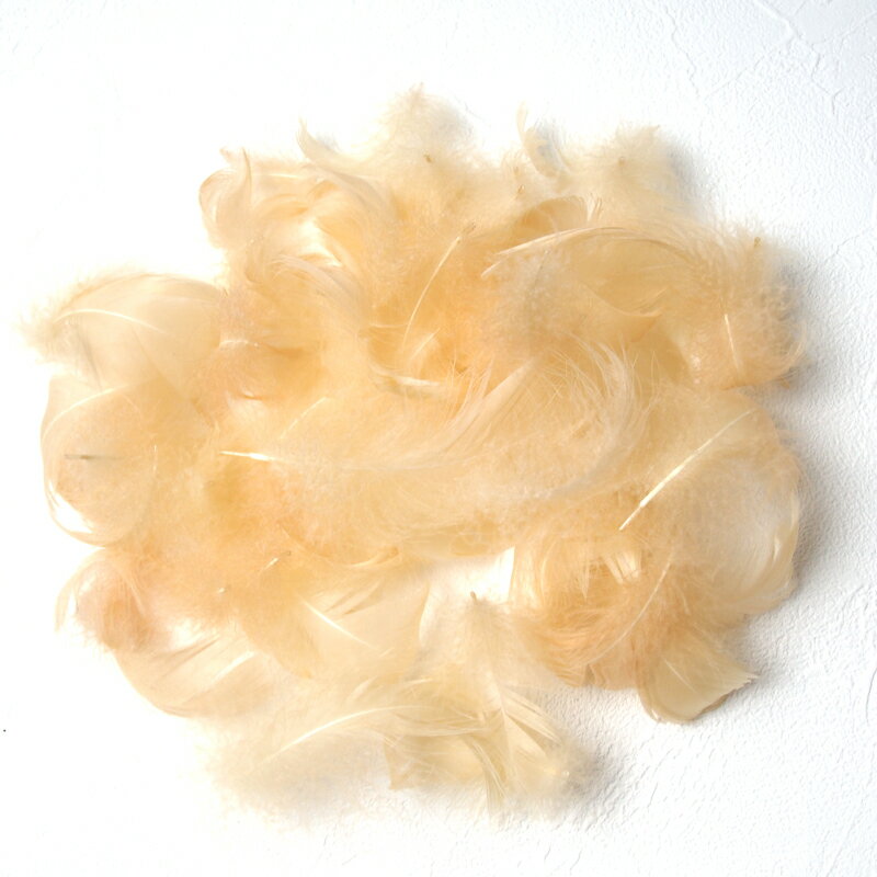 コキール1g入り［シナモン］フェザーパーツ 羽根 羽毛 材料 素材 手芸 アクセサリー 花材 フラワーアレンジメント ハロウィン 仮装 ダンス 衣装 コスプレ