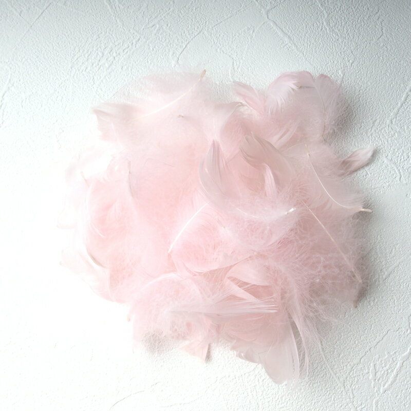 コキール1g入り［ベビーピンク］フェザーパーツ 羽根 羽毛 材料 素材 手芸 アクセサリー 花材 フラワーアレンジメント ハロウィン 仮装 ダンス 衣装 コスプレ