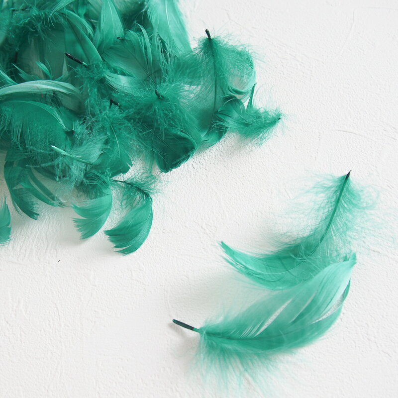 コキール1g入り［グリーン］フェザーパーツ 羽根 羽毛 材料 素材 手芸 アクセサリー 花材 フラワーアレンジメント ハロウィン 仮装 ダンス 衣装 コスプレ