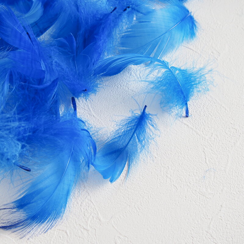 コキール1g入り［ブルー］フェザーパーツ 羽根 羽毛 材料 素材 手芸 アクセサリー 花材 フラワーアレンジメント ハロウィン 仮装 ダンス 衣装 コスプレ