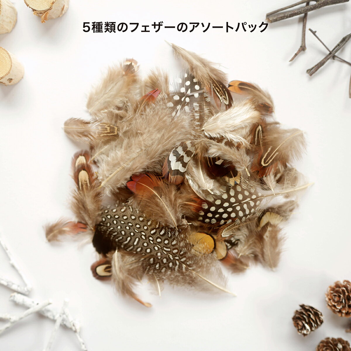 羽 フェザー アソートパック キジ系 天然 ナチュラル フェザーパーツ 羽根 羽毛 材料 素材 手芸 アクセサリー 花材 フラワーアレンジメント ハロウィン 仮装 ダンス 衣装 コスプレ