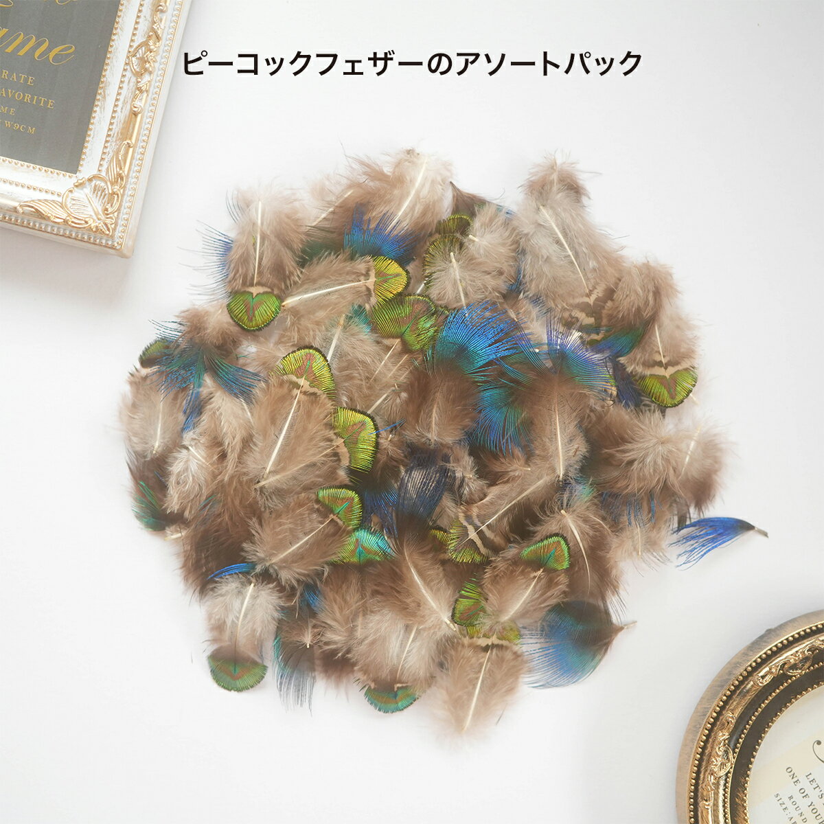 羽 フェザー アソートパック ピーコック系 天然 ナチュラル フェザーパーツ 羽根 羽毛 材料 素材 手芸 アクセサリー 花材 フラワーアレンジメント ハロウィン 仮装 ダンス 衣装 コスプレ