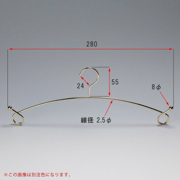 【ハンガー インナー 下着 ランジェリー】【クローム 20本】IN-503F-28-CNプロ仕様 ブラジャー・ショーツ ハンガー 日本製 すべらない 収納 クローゼット 雑貨 おしゃれ フック固定 【送料無料】