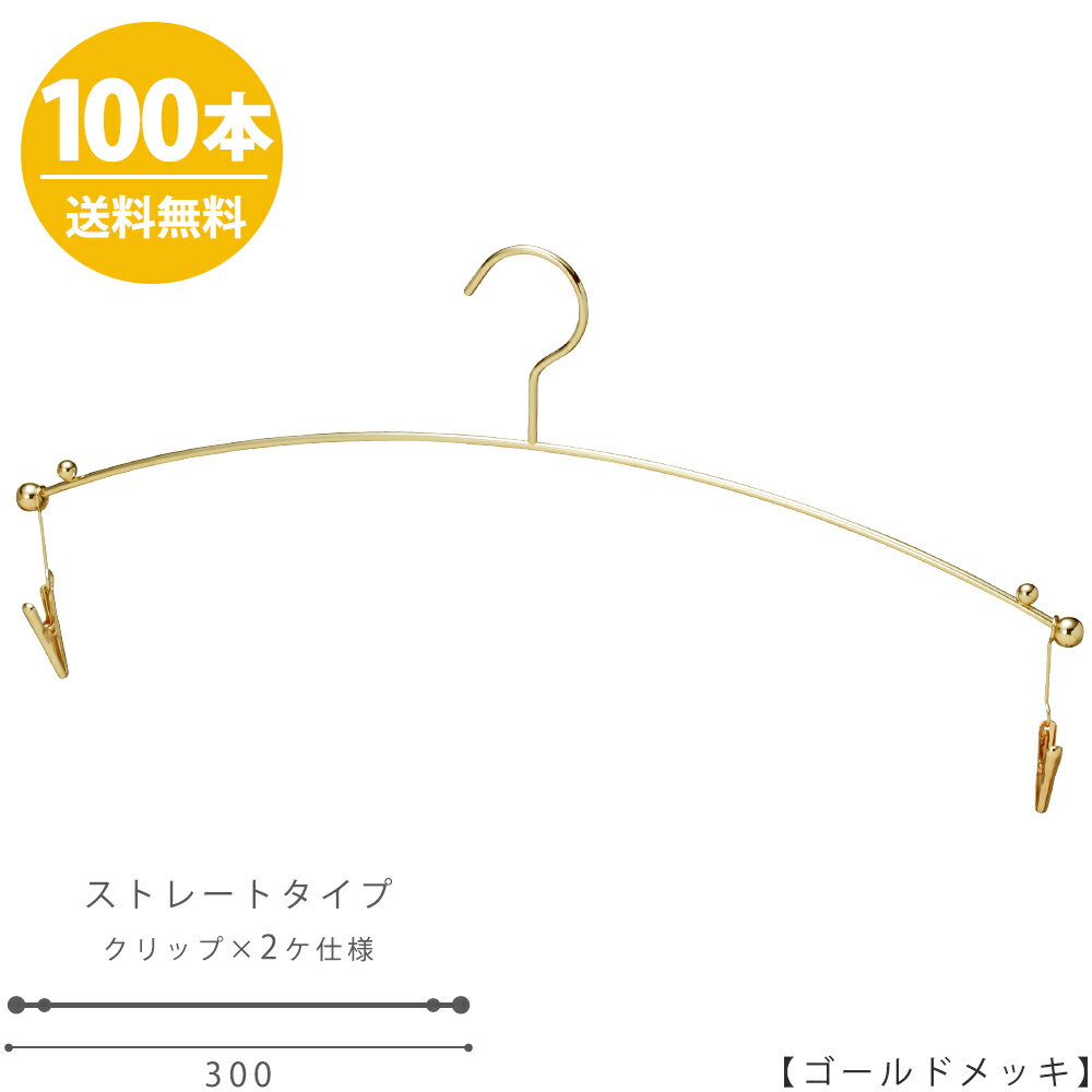 楽天ハンガーのタヤハンガー インナー 下着 ランジェリー IN-501F-30-MC ゴールド 100本 プロ仕様 クリップ付き ブラジャー・ショーツ 収納 おしゃれ 雑貨 【送料無料】 ハンガーのタヤ