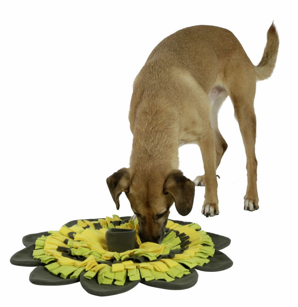 ※新発売！【ドイツKerbl】犬おもちゃ　ドイツKerbl 犬用おもちゃ　わんちゃん用知育玩具　スニッフマットサンフラワーL