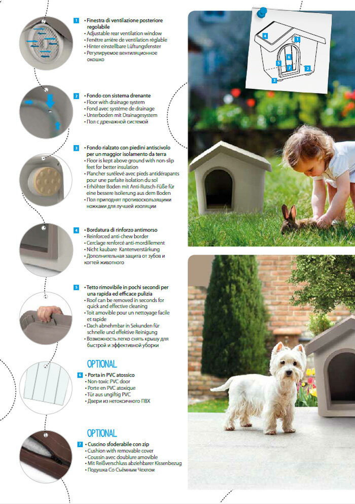 �ڥ����ꥢIMAC�ۥ��顼��󥰤����줤�ʤ������ʲ����� ��������IMAC���ɥå��ϥ�����������50����ߥƥåɥ��ǥ�����󡡥ԥ�