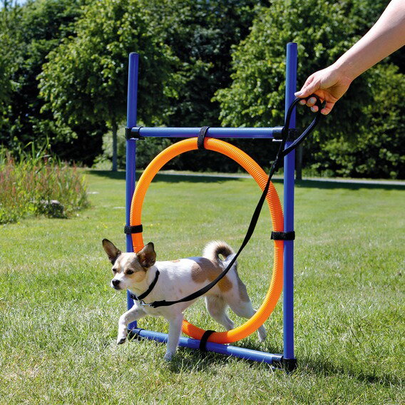 ��������ͷ�ܤ��������٤��ޤ������ڥɥ���TRIXIE�۲����Ǥ�Ȥ��륢����ƥ����å����ɥ���TRIXIE���ɥå������ƥ��ӥƥ�������ƥ���󥰡ڥ����ȥɥ�����ư�ѡ��㳲ʪ���ȥ졼�˥󥰡����Ĥ����ɥå�����