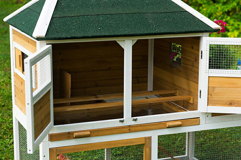 �͵���Ļ���������������ڥץ�ӥ塼�ڥåȡ�Ļ�������ץ�ӥ塼�ڥå� PrevuePet �ϡ��֥ץ�󥿡��С��ɥ�����