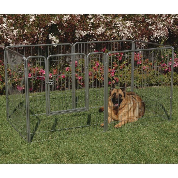 ���Ͳ������ޤ�������PrecisionPet�ۥ���ꥫ�ץ쥷�����ڥåȼҡ��ڥåȥ������롡�ɥ��ե������륵�����롡�����ȥ䡼�ɥ���ͥ�38�ڥ������롡���������ϥ����������⡡�ɥ饤�֡������ȥɥ������Ф�����