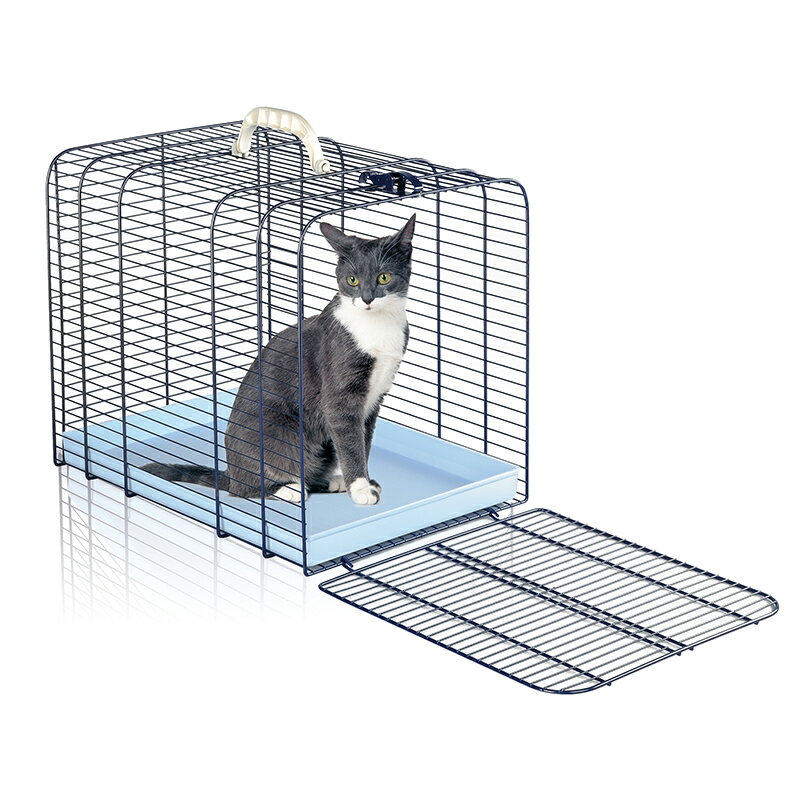 �ڥ����ꥢIMAC�ۿ�ȯ�䡪ǭ�����ΰ�ư�䥱�����ȥ졼�˥󥰤ˡ������ꥢIMAC��������åȥ�����������åȥȥ�󥹥ݡ���2��ι�ԡ��ڥåȥ����ȡ�����꡼�Хå����ɥ饤�֡����Ф�����