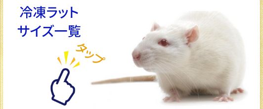 �� ����ޥ��� �������M 10ɤ ��19g �����ٰݻ��ѥå��󥰡� �� ���� ����� �Զ��� ������ 14���ޤ�����ȯ�� ����̵�� ����ޥ������� ����� ����ȴ��