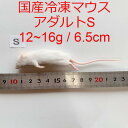 まとめ買いクーポン 国産 高品質 冷凍マウス アダルトS 10匹 サイズの目安 12〜16g、6.5c 爬虫類 猛禽類 肉食魚 哺乳類 ヘビ トカゲ その1