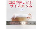 まとめ買いクーポン冷凍ラット サイズ50 5匹 国産 爬虫類 猛禽類 肉食魚 哺乳類 ヘビ トカゲ ハリネズミ