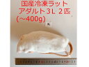 まとめ買いクーポン 冷凍ラット アダルト3L 2匹 国産 爬虫類 猛禽類 肉食魚 哺乳類 ヘビ トカゲ