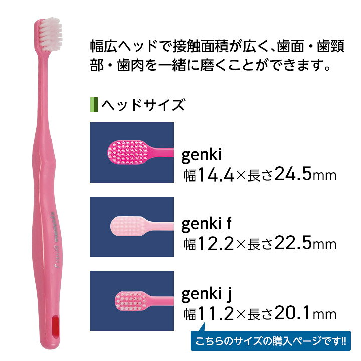 ��2/25 24���ָ����P3�ܡܺ���1,500��OFF�����ݥ�ۥ饤���� DENT.EX �����ƥޥ��� ������ 12�� �Ҷ��ΰ٤Υ����ѡ��ơ��ѡ��� ���֥饷 systema genki j �������� �Ҷ� ���֥饷