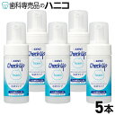 ライオン DENT. チェックアップフォーム 5本 泡タイプ 1本で約500回 フッ化ナトリウム950ppm キシリトール配合 低発泡 低香味 研磨剤無配合