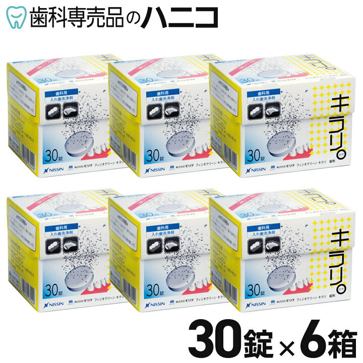 デントパワー 入れ歯洗浄剤 10ヵ月用 専用ケース無し 入れ歯 洗浄