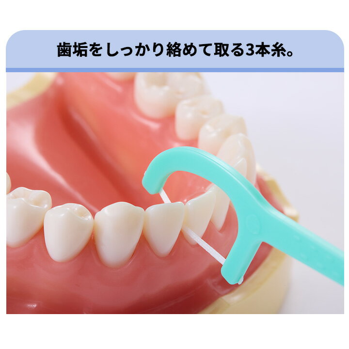 Shu&Shu �ե���&�ԥå� 60�ܡ�360�ܡ�720�� �ϥ�ɥ��դ��ե��� F���� �Υ��å��� ����������