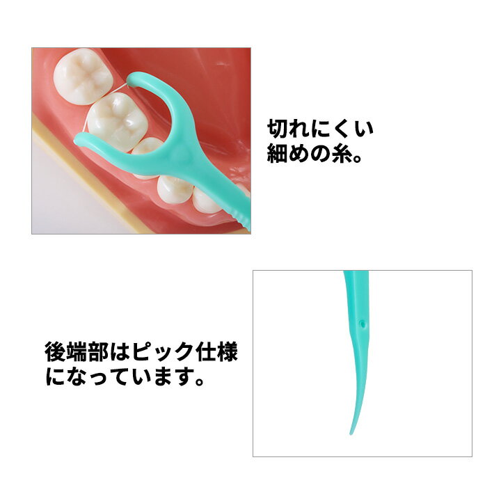 Shu&Shu Y�� �ե���&�ԥå� 30�ܡ�120�ܡ�240�� �ϥ�ɥ��դ��ե��� Y���� �Υ��å��� ����������