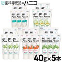 ジーシー MI ペースト 1本/40g × 5本 GC 歯科専売品 虫歯予防 歯面 塗布 再石灰化 ミネラル ペースト ミネラル配合剤