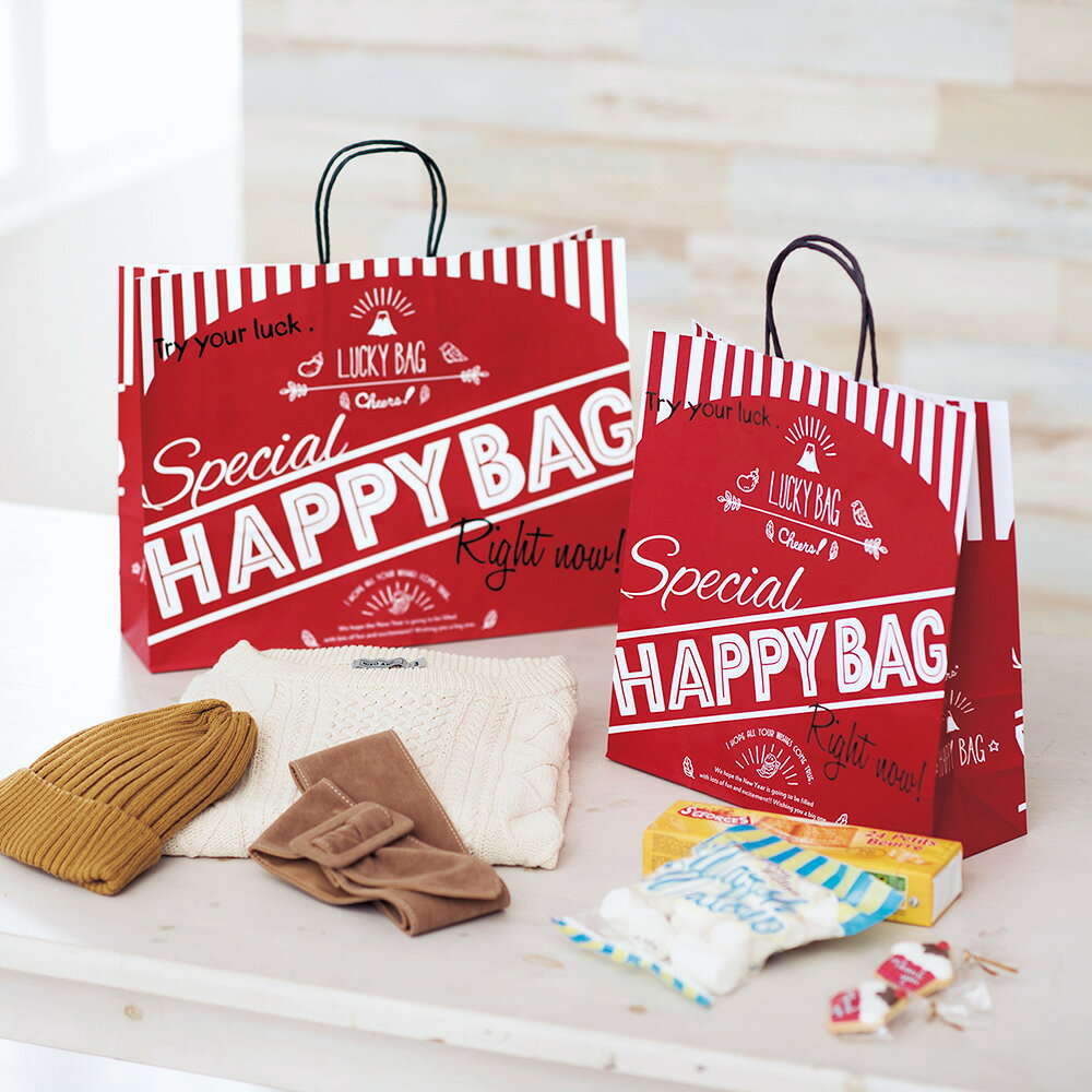 ササガワオンラインショップの紙袋 手提げ袋 HAPPYBAG 中 10枚入 50-6239 ササガワ | 手提げバッグ happy bag 福袋 お正月 セール sale セール価格 包装 ラッピング 袋 ラッピング用品 ラッピング袋 おしゃれ 手提げ もち手 福 ラッキー 英字 ハッピーバッグ 縁起 バッグ 紙バッグ マチあり 赤｜アングル2