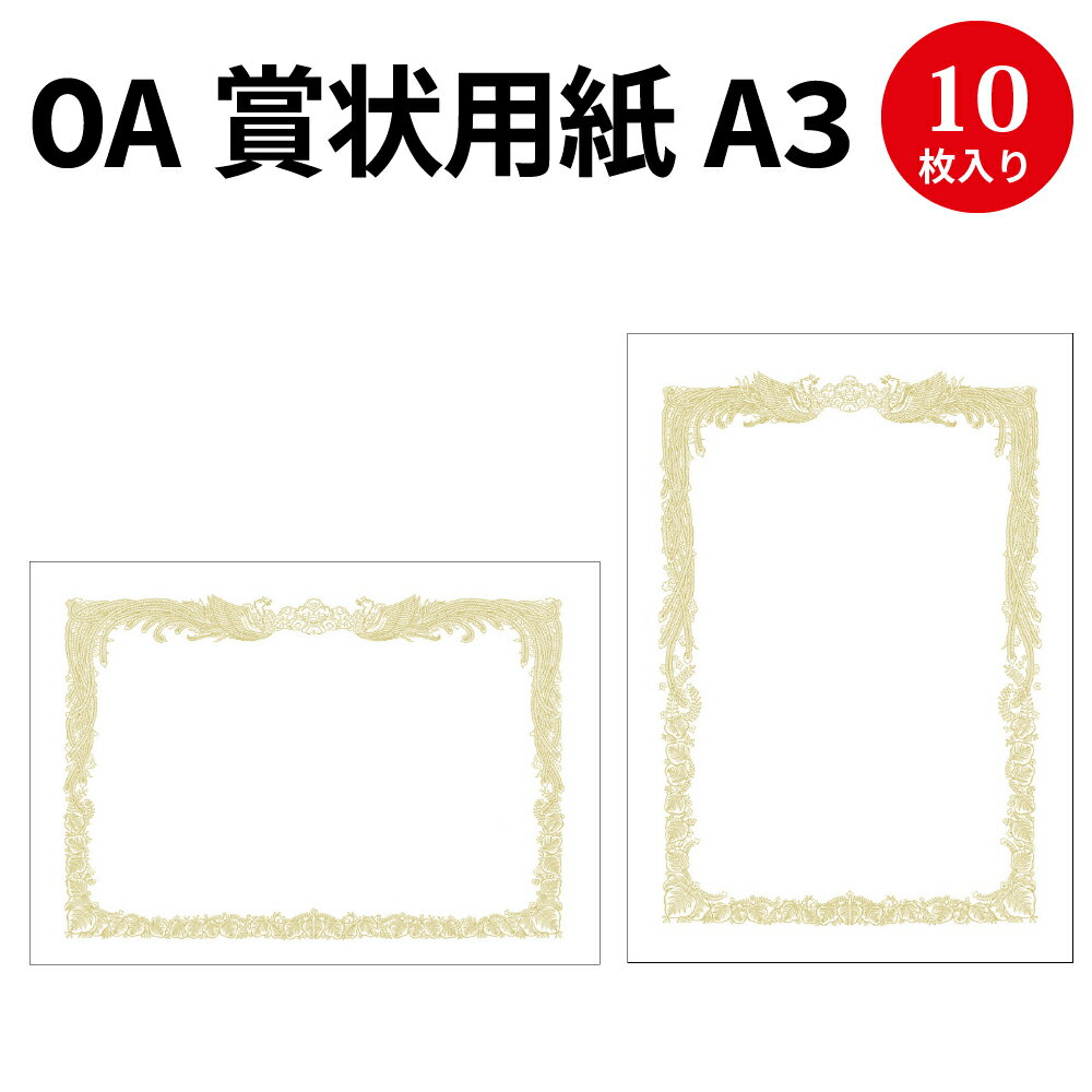 【まとめ買い10個セット品】 ササガワ 厚口OA賞状用紙 10-1287 10枚【ECJ】