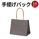 手提げバッグ テミニン | バッグ bag 紙バッグ 紙袋 手提げ袋 マチあり プレゼント ギフト 包装 梱包 誕生日 ギフト シンプル かわいい おしゃれ ア...