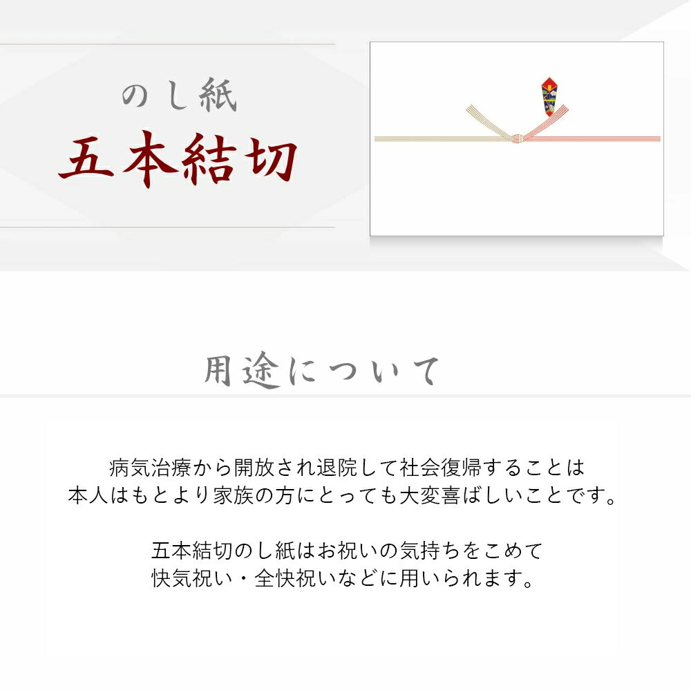 プリンター対応 快気祝い のし紙 五本結切 京 100枚入 ササガワ タカ印 | 典礼用品 慶弔用品 熨斗 のし 熨斗紙 資材 ラッピング ギフト ギフトラッピング 祝い 退院祝い 退院 お返し お見舞いお返し 結び切り 入院 贈答 お礼 御礼 病気 怪我 災害 包装 結び切り内祝い 2