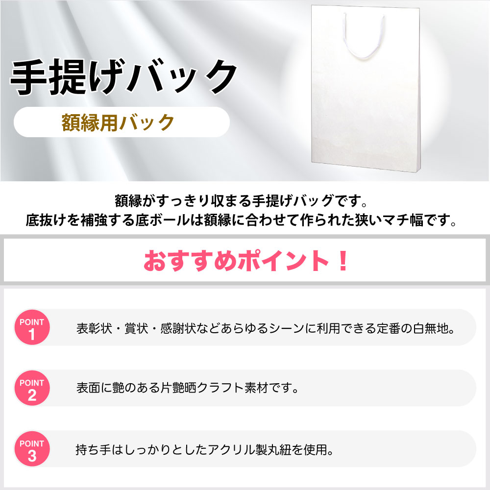 【P5倍!お買い物マラソン限定】 手提げ袋 額縁用 ササガワ | 賞状 表彰状 授与 式典 記念 バッグ bag 紙バッグ 紙袋 手提げ袋 マチあり プレゼント ギフト 包装 梱包 誕生日 ギフト シンプル 小物 袋 雑貨 店舗 ラッピング 2