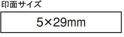 シャチハタ 角型印 0529号 氏名印 ( 印面サイズ ： 5×29mm ) Bタイプ（データご入稿商品）(05P29Jul16)