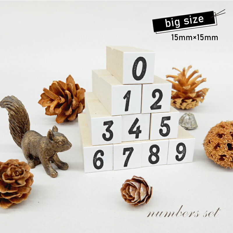 樂天商城 - 数字スタンプ10個セット5 BIG（印面サイズ：15×15mm）スケジュールスタンプ ハンコ かわいい おしゃれ