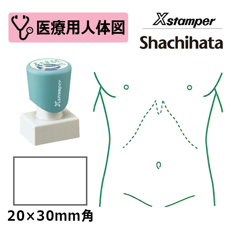 【シヤチハタ】医療用人体図（胴体） Xスタンパー 角型印 2030号 ( 印面サイズ:20×30mm ) 医療・病院・..